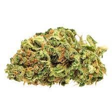 Good Supply  Jean Guy 3.5g Dried Flower