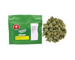 GMO Cookies 28g Dried Flower