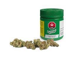 Frosted Cream Puffs  3.5g Dried Flower