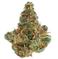 Frosted Cream Puffs 28g Dried Flower