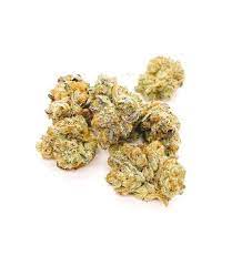 Houston's Problem 7g Dried Flower