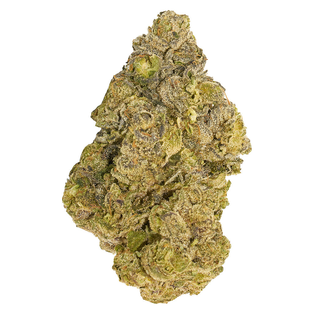 Product image Broken Coast - Cherry Ztripez 1