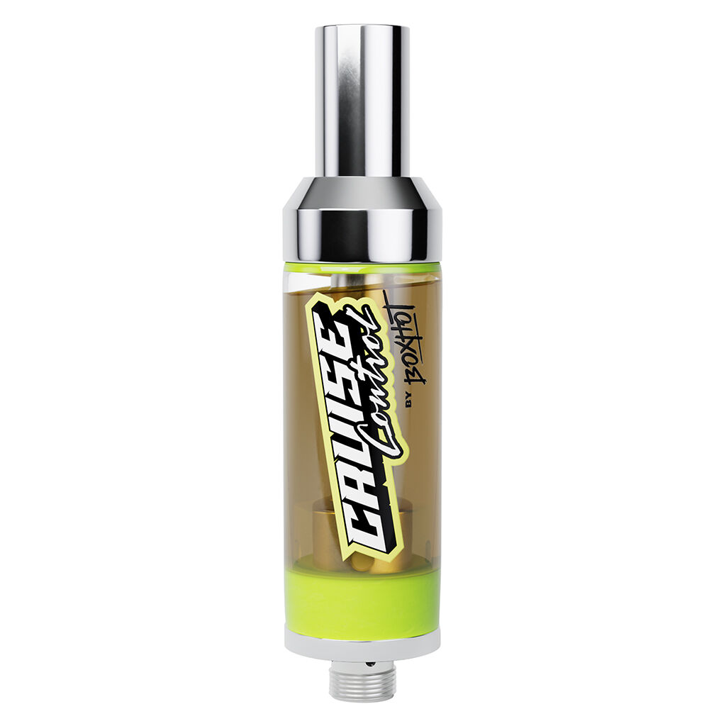 Cruise Control by Boxhot - Cruise Control by Boxhot - Formula V 2g