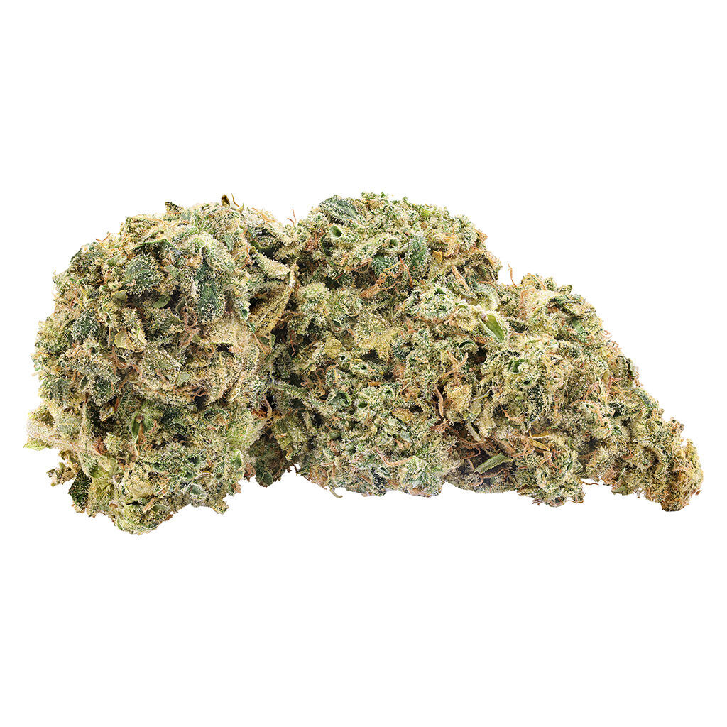 Big Bag O' Buds - BBOB Northern Nights