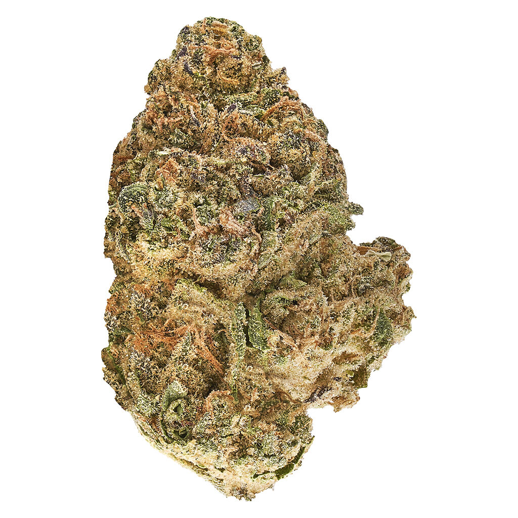 Redecan - Animal Rntz
