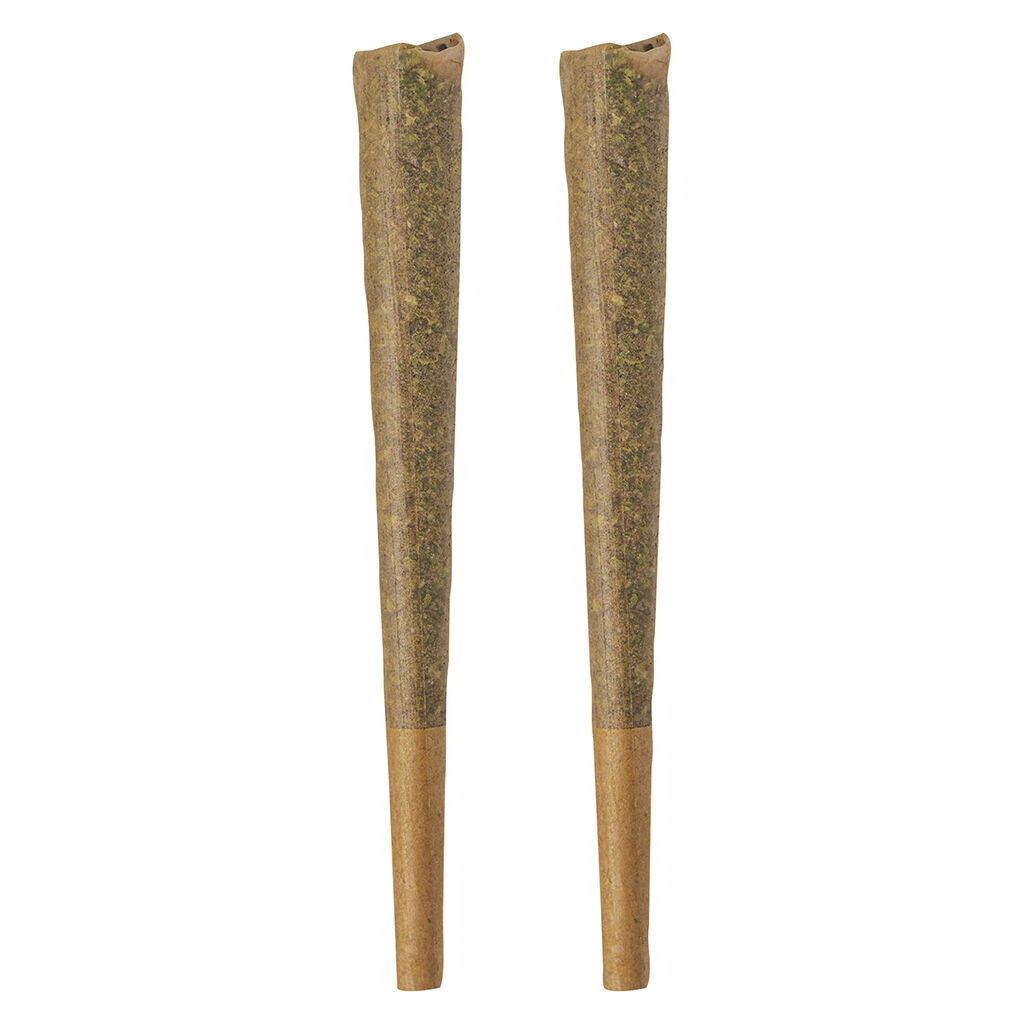 BOLD GLAZED - GLAZED Indica Pre-Rolls