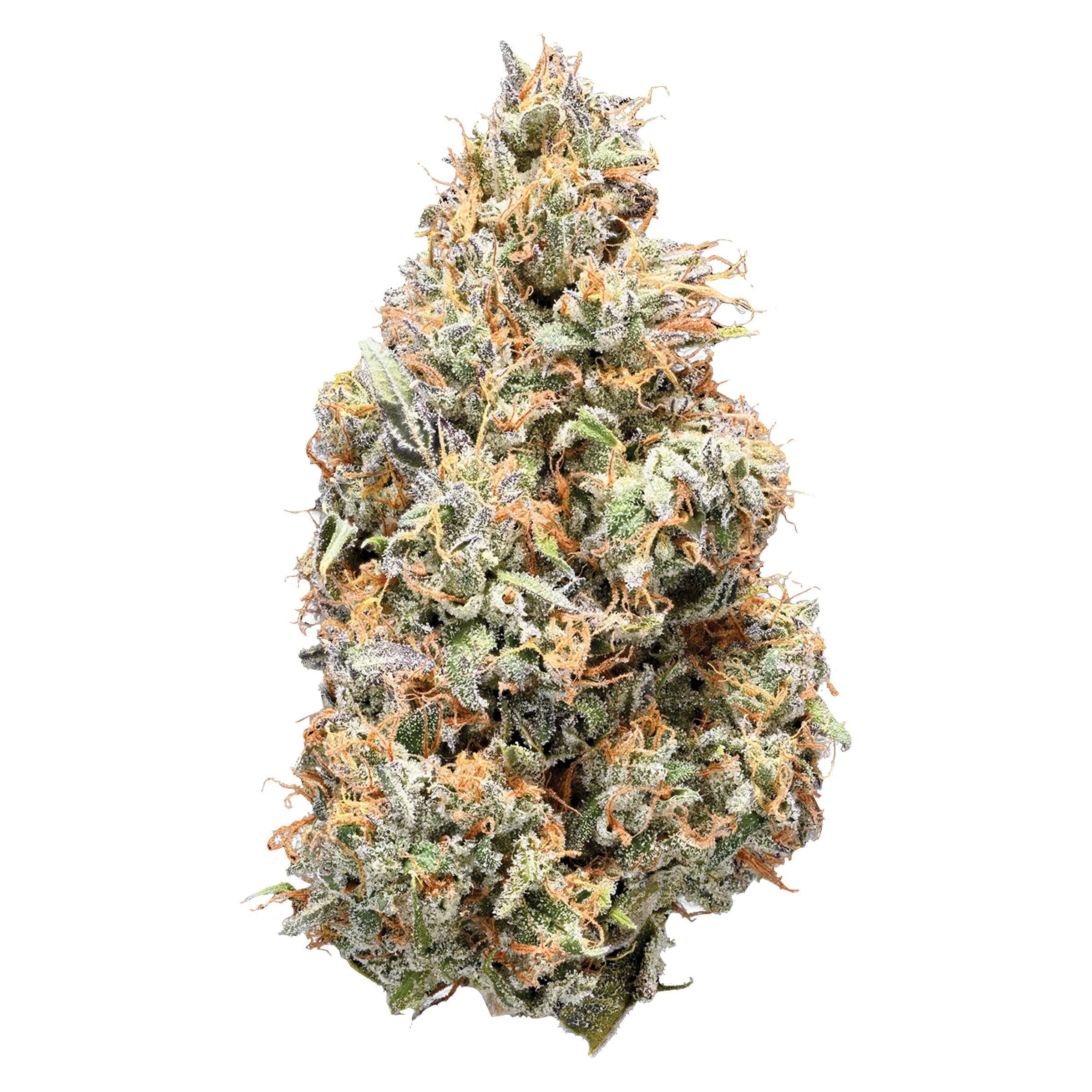 Product image NUGZ SATIVA 14g Dried Flower 1