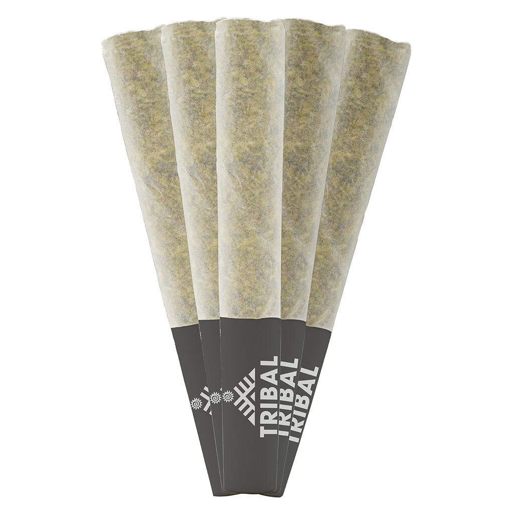 Product image Tribal - Porto Leche Pre-Rolls 1