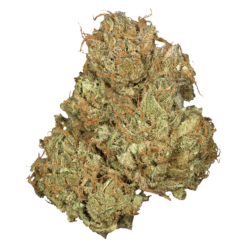 Orchid CBD - Jean Guy CBD