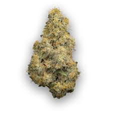 COAST MOUNTAIN CANNABIS - BC ORGANIC PURE CAKE SKUNK