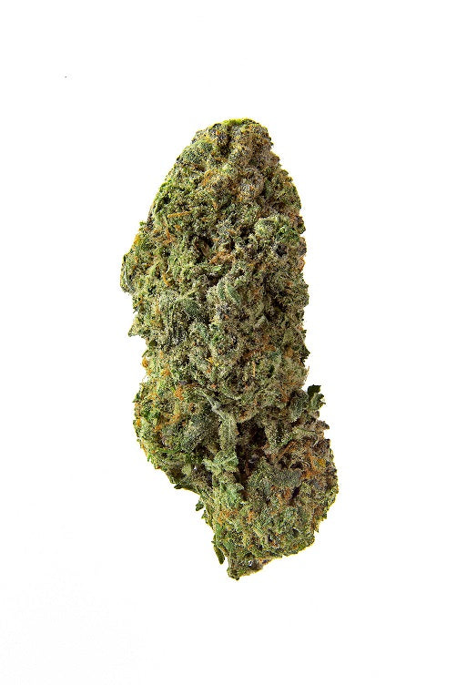 Bandwagon Sativa Rotational - 28g Sativa Whole Flower | Homestead