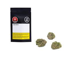 1964 - ORGANIC COMATOSE