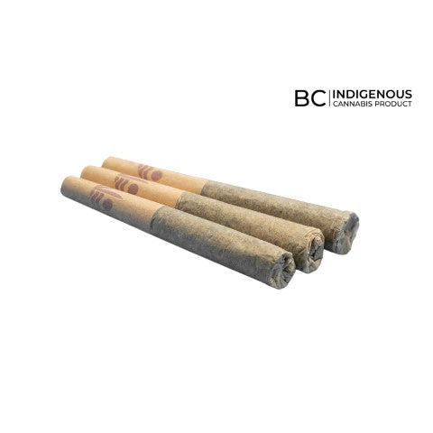 Product image StoLo Haze - 3 x 0.5g Sativa Joints | All Nations 1