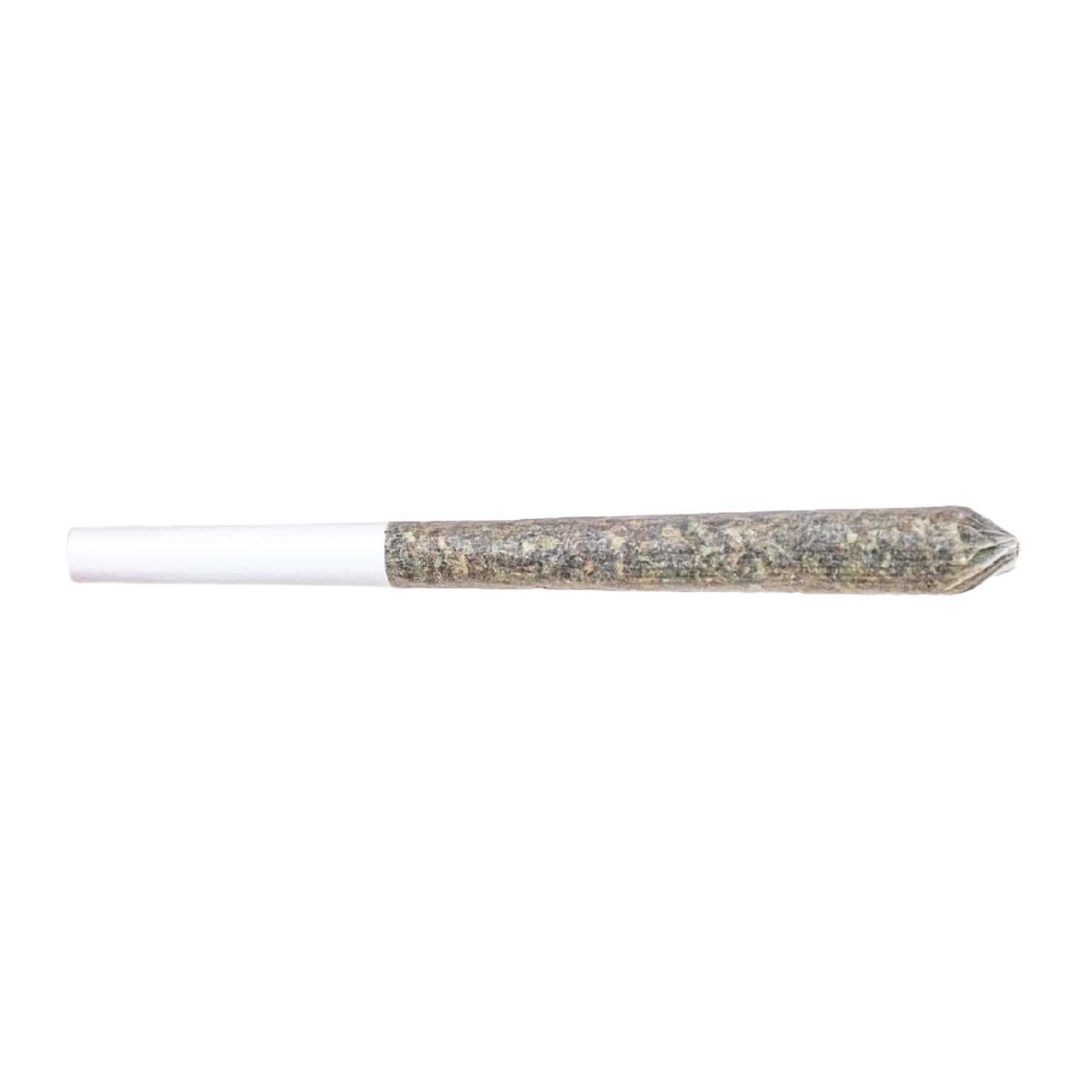 STATION HOUSE - GHOST TRAIN HAZE SINGLE PRE-ROLL