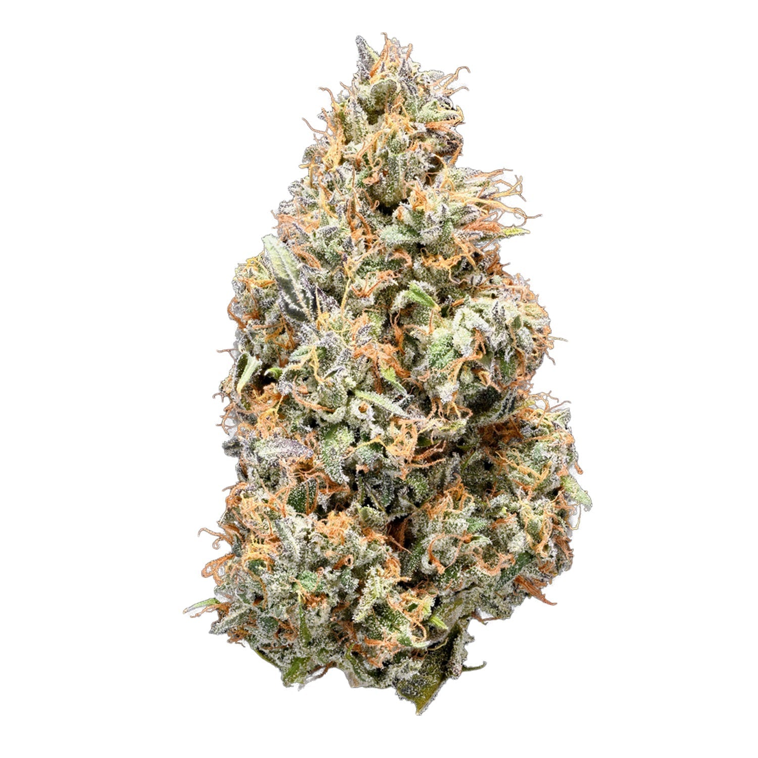 Cuban Linx - 3.5g Sativa Flower | Tribal