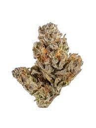 BC Organic Mango Cake - 7g Sativa Flower | Good Buds