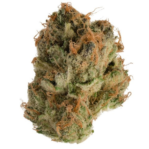 Tropicanna - 3.5g Sativa Flower | Jonny Chronic