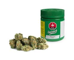 SPINACH - GMO COOKIES