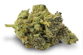 BC WEED CO - RNTZ 7 GRAM