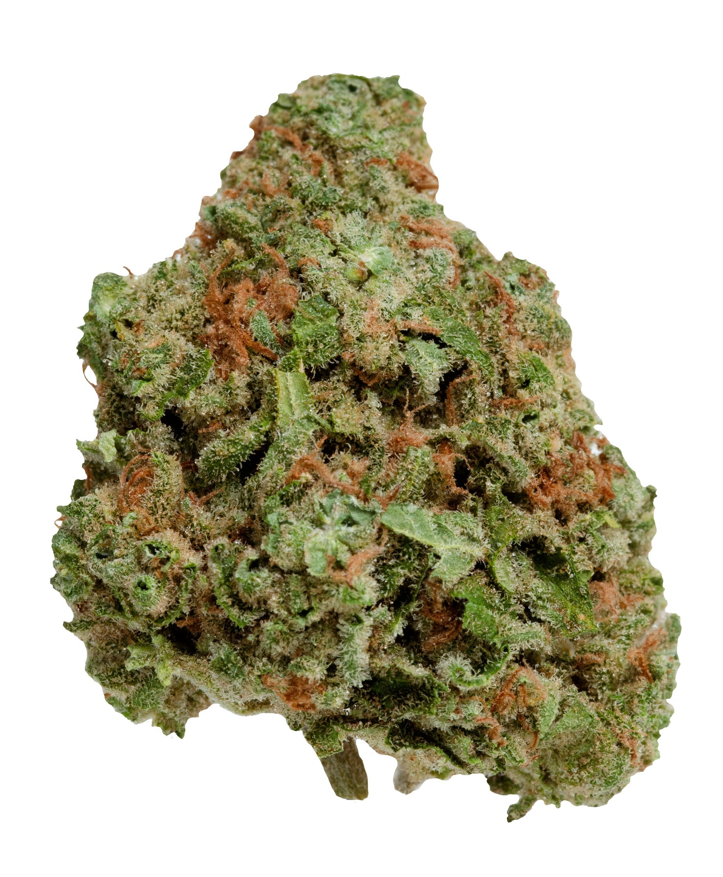 Product image Blueberry Seagal - 7g Indica Flower | Color Cannabis 1
