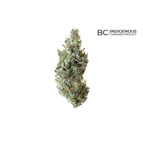 ALL NATIONS - TROPIC THUNDER