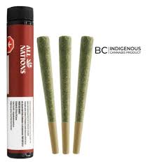 Tropic Thunder - 3 x 0.5g Sativa Joints | All Nations