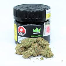 REDECAN - ANIMAL RNTZ