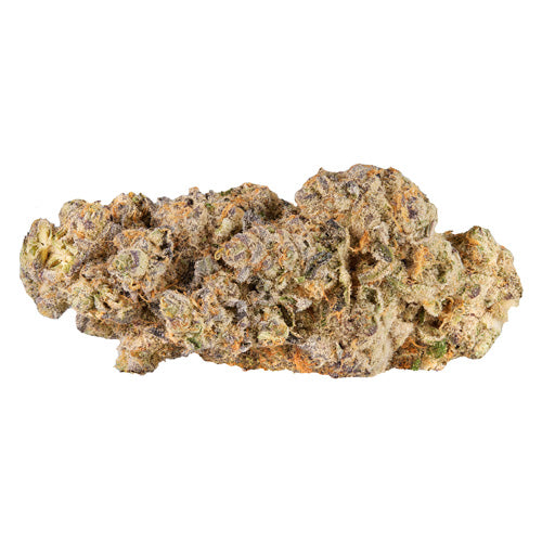 BROKEN COAST - CHERRY CHEESECAKE