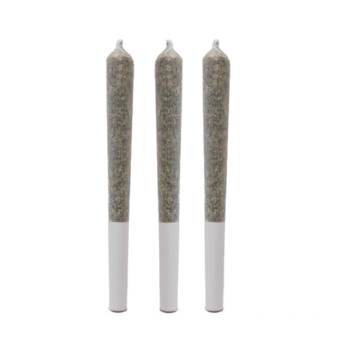 VICTORIA CANNABIS COMPANY - G-WAGON PRE ROLLS