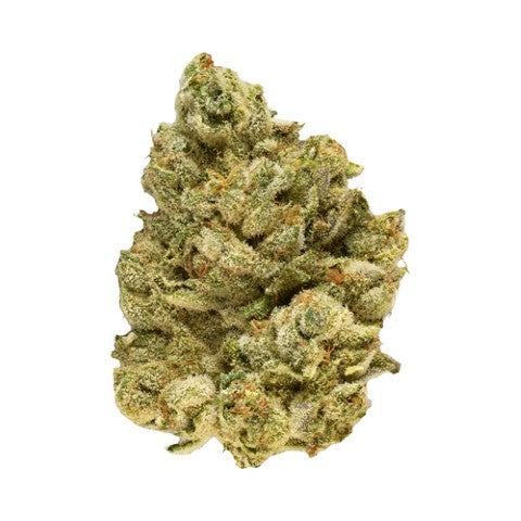 BROKEN COAST - EMERGENZ