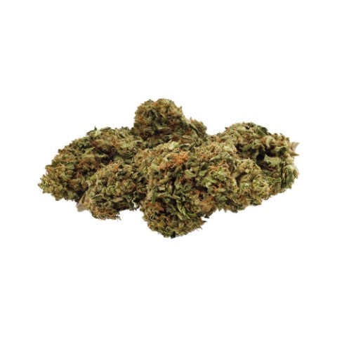 Day Dreamin - 7g Indica  | Grown Here Farms