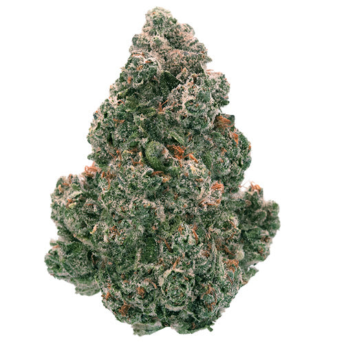 BACK FORTY - LIQUID IMAGINATION