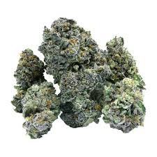 Hippie Haze 19 - 7g Indica Flower | Green Mile