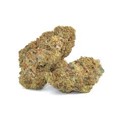 1964 - BLUE DREAM FLOWER