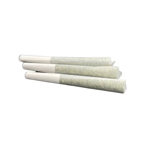 TERRA LABS - FROSTED ORANGES INFUSED PRE-ROLLS