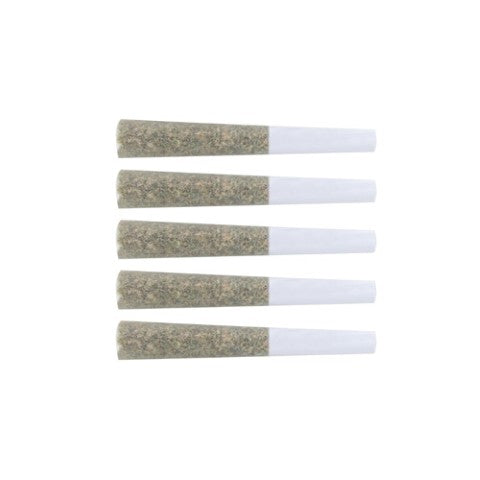 Exotic Gas - 5 x 0.5g Indica Joints | The Loud Plug