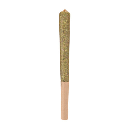 Rocketeer Infused -1 x 1g Hybrid Infused Joint | Woody Nelson