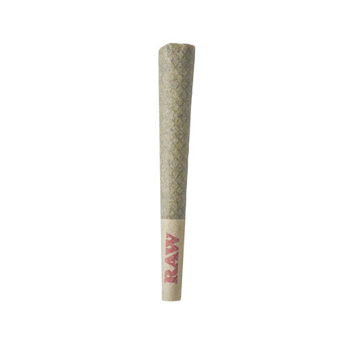TRIBAL - NEON SUNSHINE PRE-ROLLS