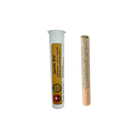 CAPPELLANO CANNABIS CO. - GASTRO POP LTO PRE-ROLLS