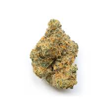 ORCHARD - BUSHELS SATIVA (MOBY DICK) LTO PRE-ROLLS