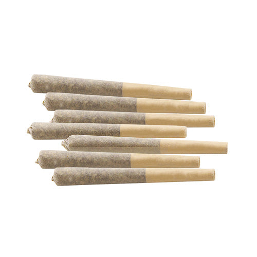 LOFI - NOSTALGIA INFUSED CRAFT PRE-ROLLS