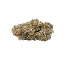 Royal Sherb - 7g Indica Flower | Jolly Boys