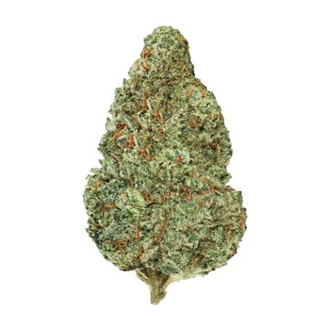 BACK FORTY - CHEMZILLA