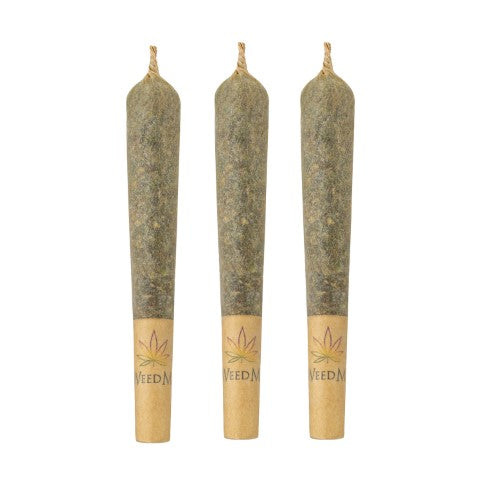 Jack Herer - 3 x 0.5g Sativa Joints | Weed Me
