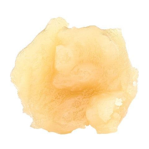 DABBLEDRAGO LIVE ROSIN LTO