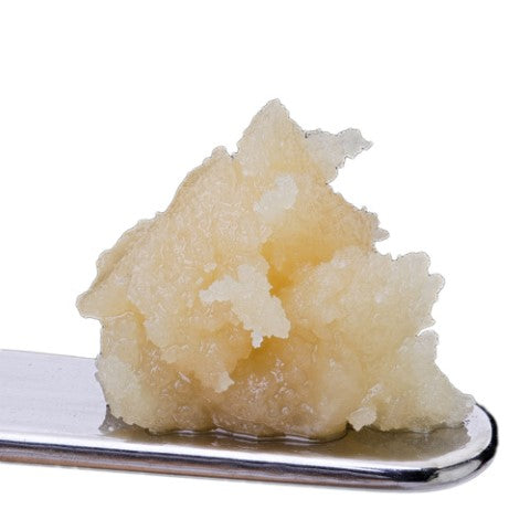 Seasonal Exotics Pack - 1 X 1g Hybrid Resin & Rosin | Sauce Rosin Labs