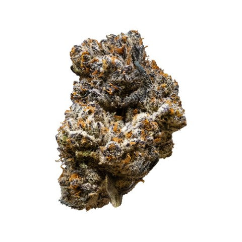 Jack Truffle - 14g Sativa Flower | 3rd Coast Genetics