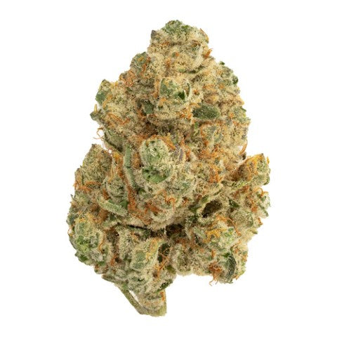 Venom OG - 7g Indica Flower | The Loud Plug