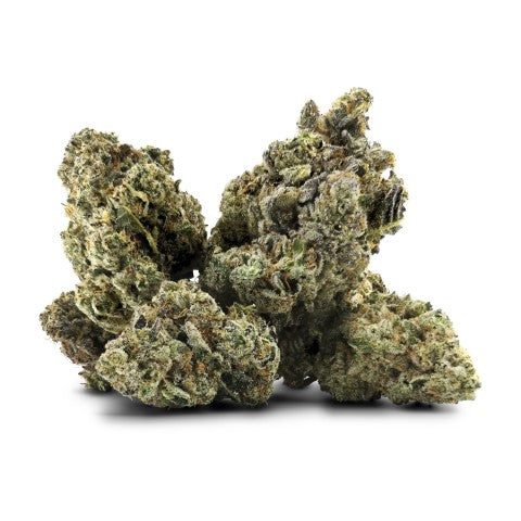 GALACTICA OG 14GR