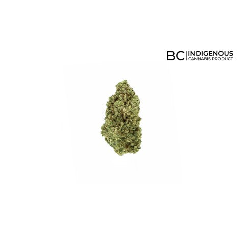 Lemon Gelato 3.5g Sativa Flower | All Nations